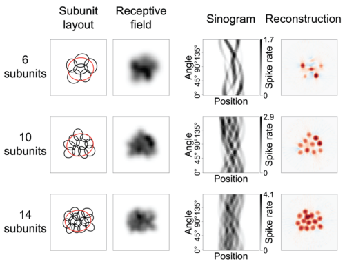 Krüppel et al, PLoS Computational Biology 2024